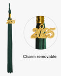 Shiny Kindergarten Graduation Cap with Tassel-12 Colors Available - Graduation Gown 