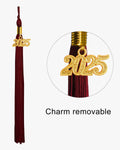 Shiny Kindergarten Graduation Cap with Tassel-12 Colors Available - Graduation Gown 