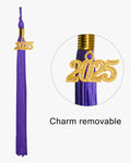 Shiny Kindergarten Graduation Cap with Tassel-12 Colors Available - Graduation Gown 